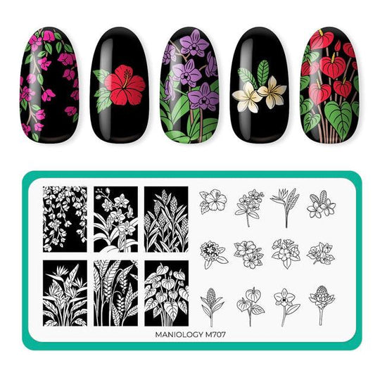 Maniology - Stamping Plate - Flora Exotica (M707)