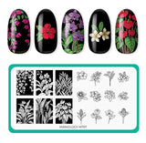 Maniology - Stamping Plate - Flora Exotica (M707)