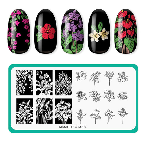 Maniology - Stamping Plate - Flora Exotica (M707)