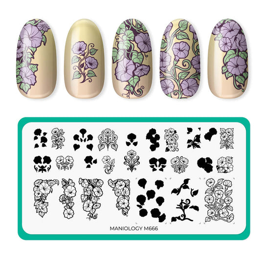 Maniology - Stamping Plate - Morning Glory (M666) - Nail Stamping Plate