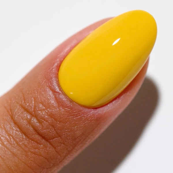 DND - DC Duo - Sun Rebels - #2516