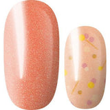 Lily and Fox - Nail Wrap - Divine Persimmon #A0520