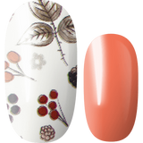 Lily and Fox - Nail Wrap - All Spice