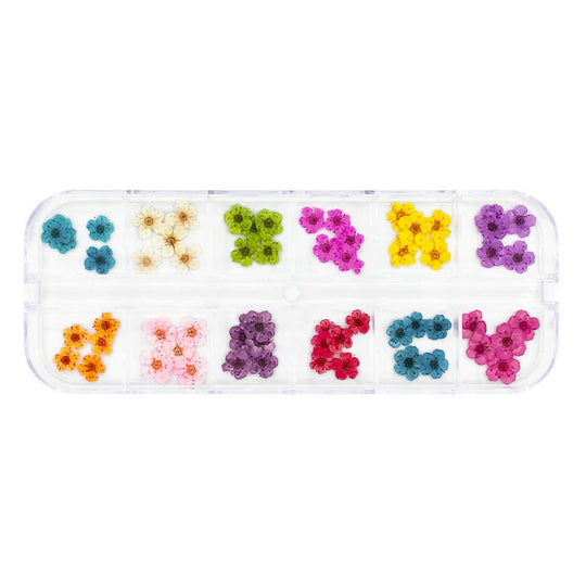 Daily Charme - Pressed Dry Natural Petal Flower Set - 12 Colors