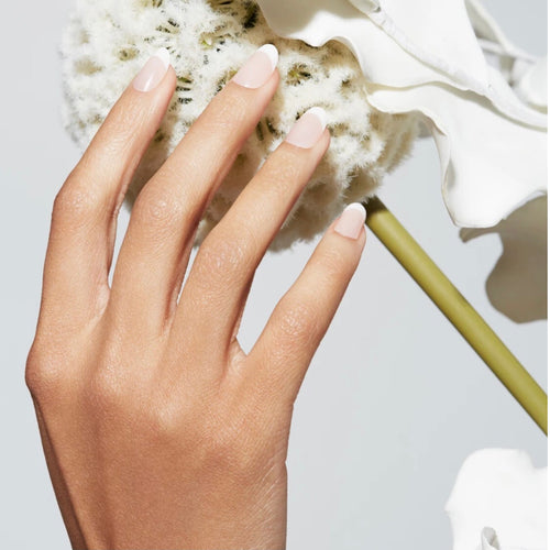 Static Nails - Reusable Pop-On Manicures - French 75 Round