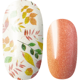 Lily and Fox - Nail Wrap - Feel The Wind #T0451