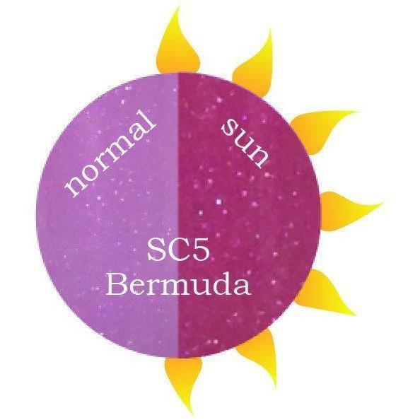 Revel Nail - Dip Powder Sun Color Bermuda 2 oz - #SC5