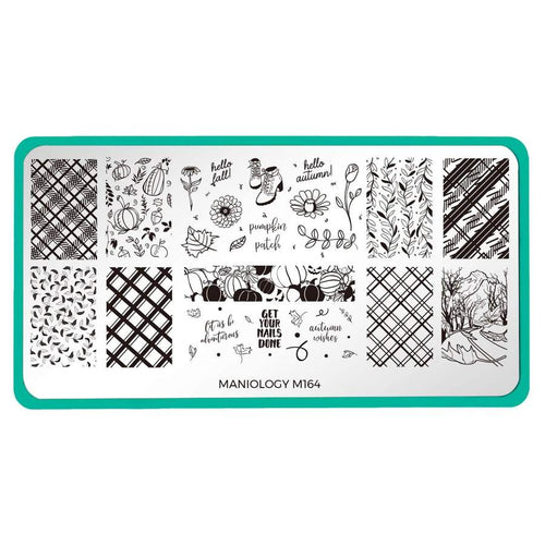 Maniology - Stamping Plate - Fall Occasions: Autumn Wishes #M164