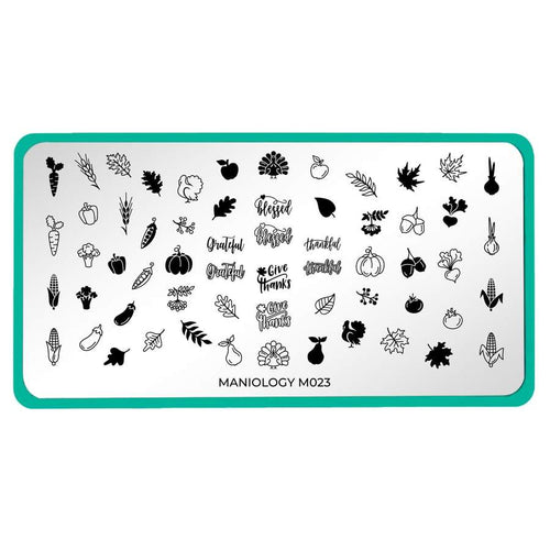 Maniology - Stamping Plate - Fall Occasions: Holiday Harvest #M023