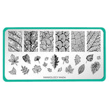 Maniology - Stamping Plate - Leaf Skeletons (M404)