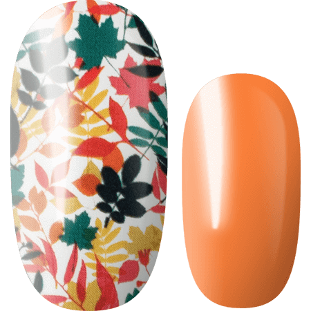 Lily and Fox - Nail Wrap - Orange Blossom #T0452
